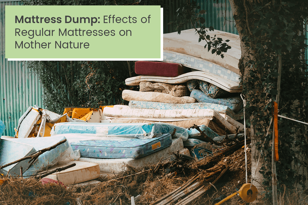 Mattress Dump: Effects of Regular Mattresses on Mother Nature￼