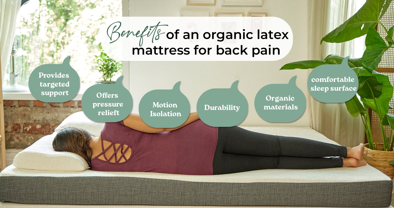 Best Mattress for Back Pain India Sleep Aloha Blog