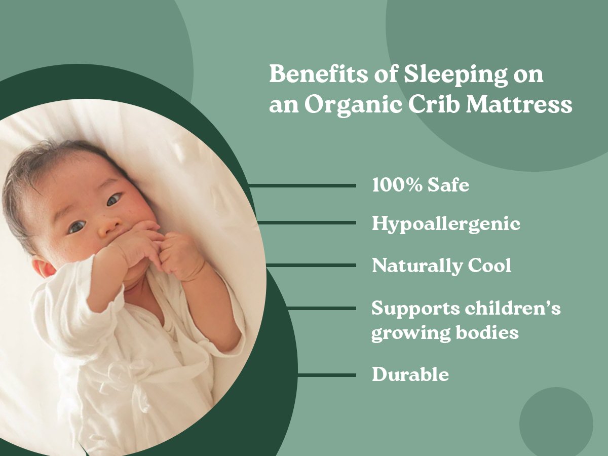 Organic Crib Mattress