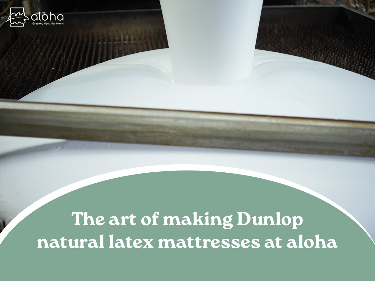 How exquisitely is a Dunlop natural latex mattress made?